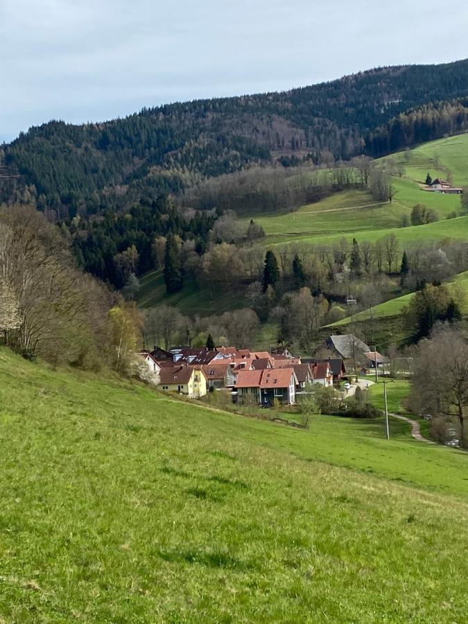 Schwarzwaldglueck Apartment Oberried  Extérieur photo